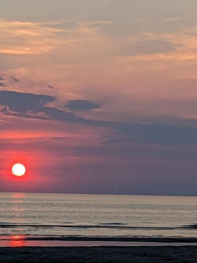 Zomerhuis In Wijk Aan Zee! 2 Pers エクステリア 写真